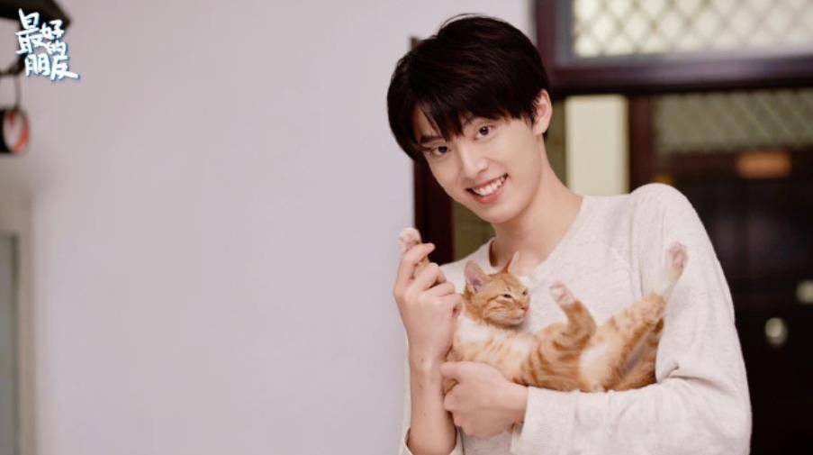 双男|又一双男主剧逆袭成黑马,剧情精彩评分高达9.0,网友:不够看