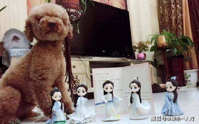 别墅|杨紫别墅曝光，外观装饰如城堡，内部设计尽显少女心