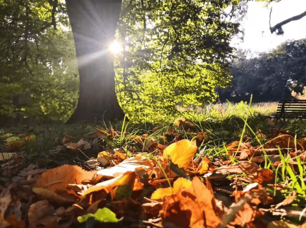 美食|【留学资讯】舌尖上的南澳州：这些南澳美食不可错过！