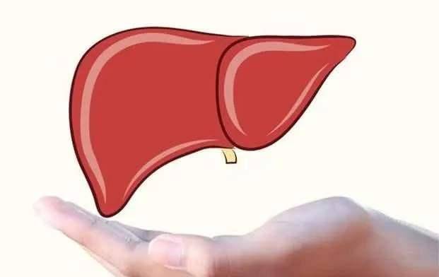 进行|“养肝的秘诀”或在于早餐,2种早餐或该远离,3种早餐或可多吃