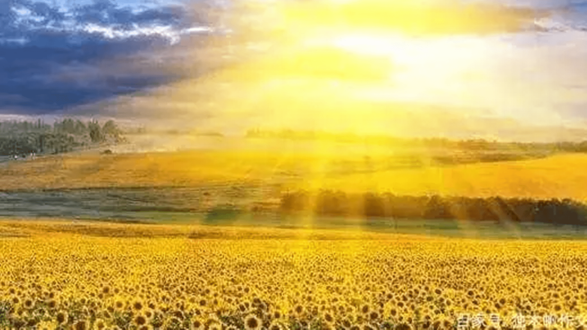 记忆|每3秒多1个病例，阿尔茨海默病10个早期迹象，一起做测试