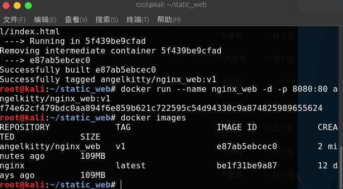 Docker入门知识 Docker的运行与常用命令 Dockerfile的常用命令 下