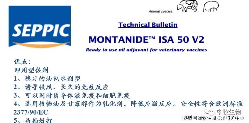 进行|秋季注意防范------猪支原体肺炎！