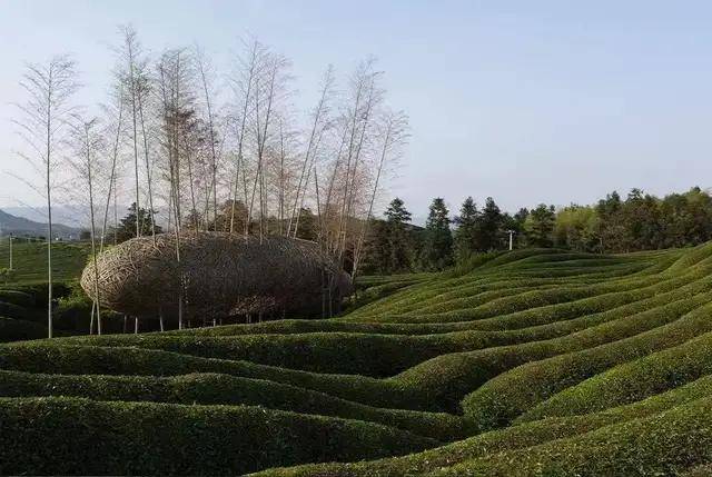 乡野|闯入一片乡野乌托邦，ICICLE之禾「自然之道月」限时开启
