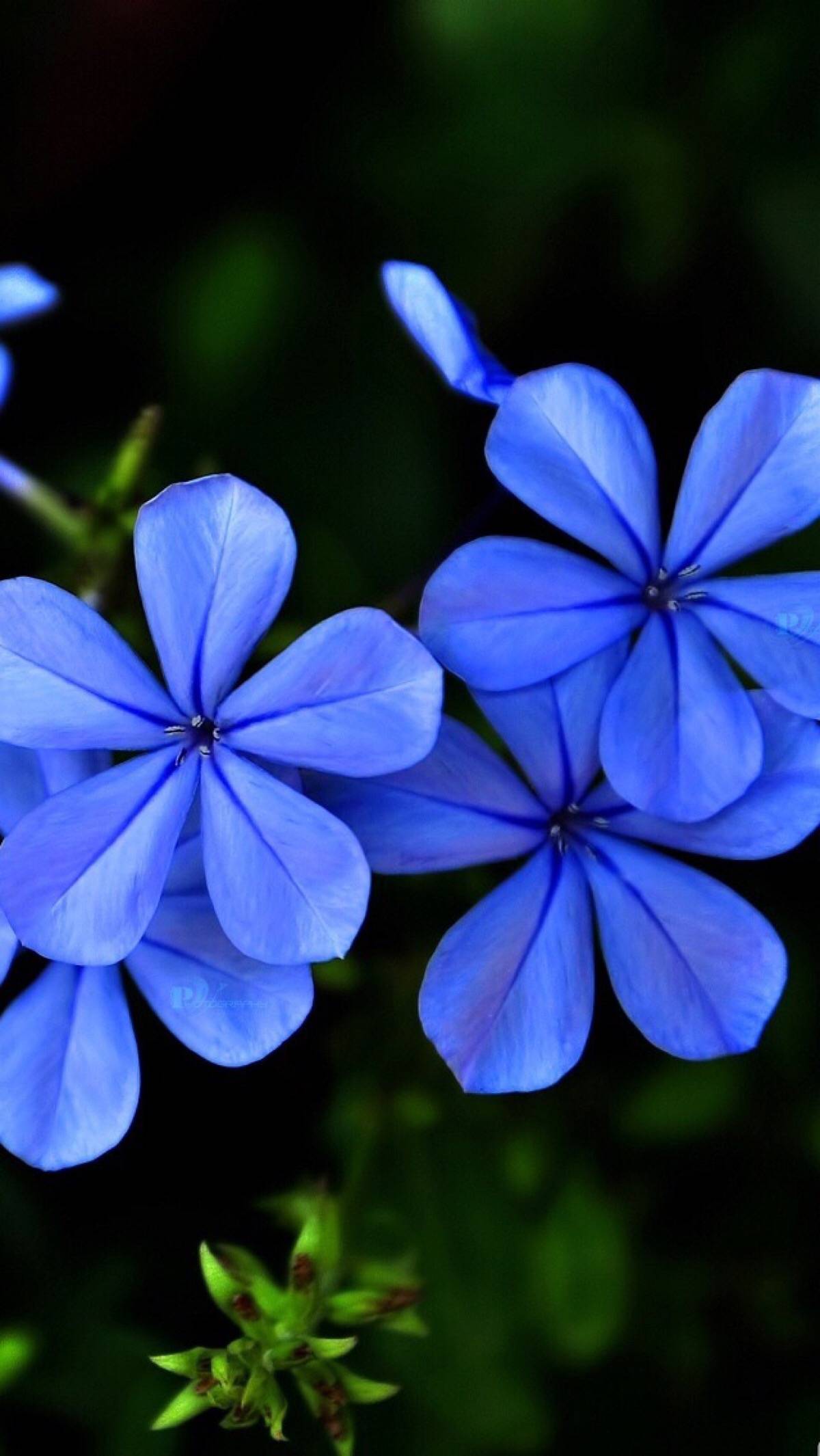 屏保图片壁纸高清 38b86c73bf534b05b71ff971520a4748.jpeg