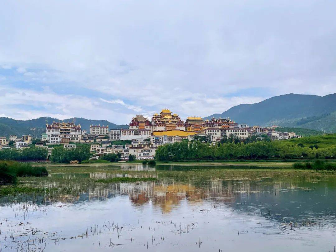 Wine|百馥访谈|前四大会计师事务所税务合伙人安洁，香格里拉葡萄酒产区研学感受