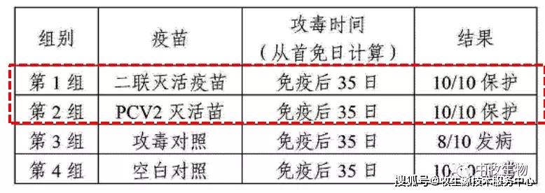 进行|秋季注意防范------猪支原体肺炎！