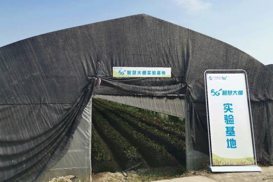 上海|数智移动 实事为民|小网格扛起大责任 上海移动深入社区“办实事”