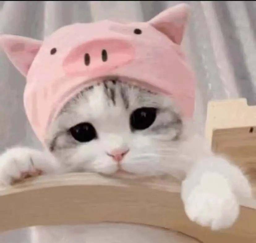 全员|《理智派生活》正式收官，全员收获幸福结局