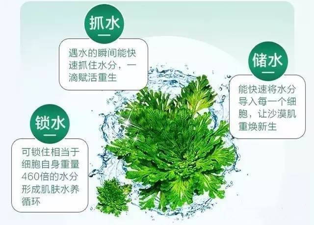 功效|眼霜的14大成分功效 你知道多少？