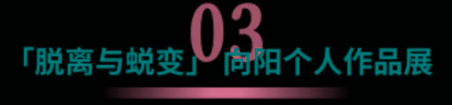 乡野|闯入一片乡野乌托邦，ICICLE之禾「自然之道月」限时开启