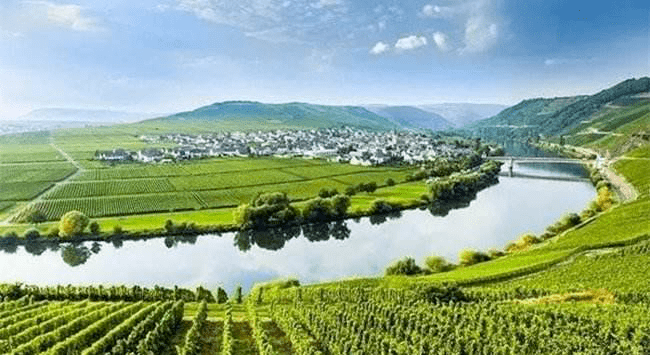 天气|82年的拉菲凭什么那么贵?