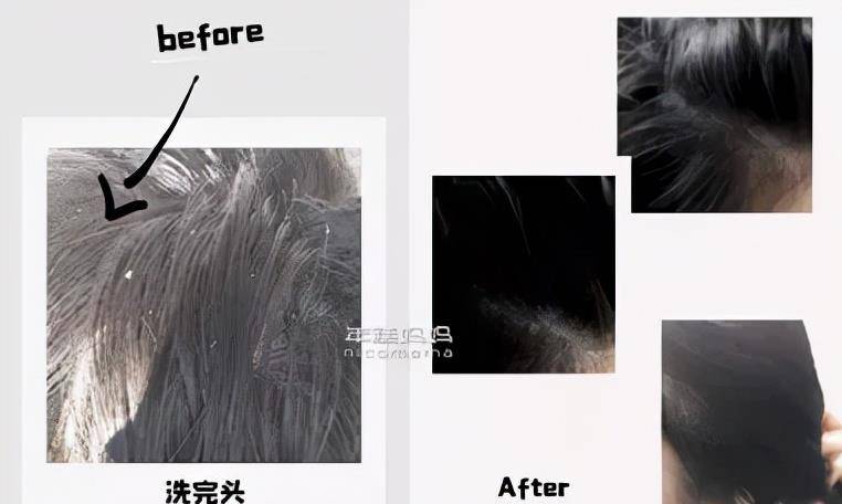 发型糕妈：我的私藏变美好物大公开！效果堪比换头，最便宜的不到30块