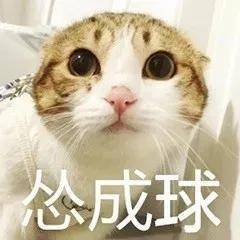 with忽略抗炎，想要皮肤变好我怀疑你在异想天开