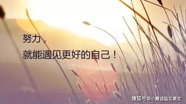 83c44f913fbb4b68881f50067a6339a8.png