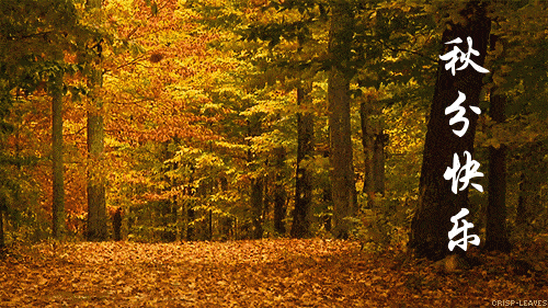 被称为|正是一年最美时