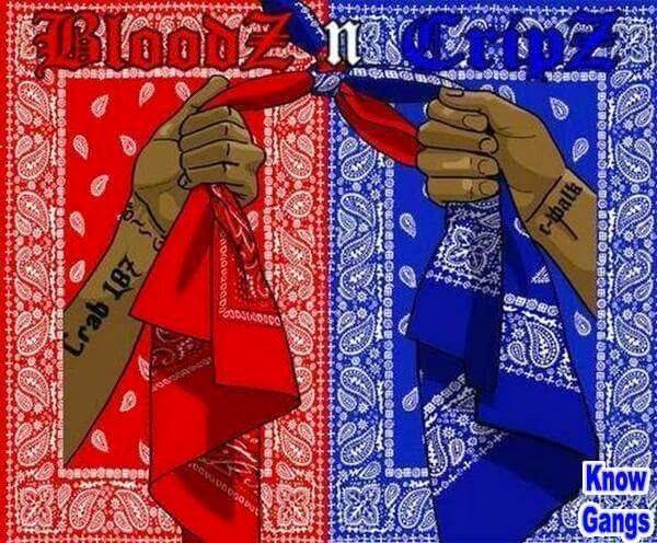 上世纪70年代,美国有史以来最大的两个黑帮瘸帮(crips gang)和血帮