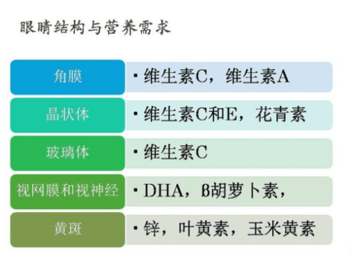 挑選護眼葉黃素,99%媽媽在選擇兒童葉黃素時考慮到的問題