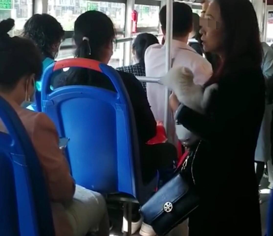 公交车能带宠物吗放包里 狗装笼子里能上公车吗