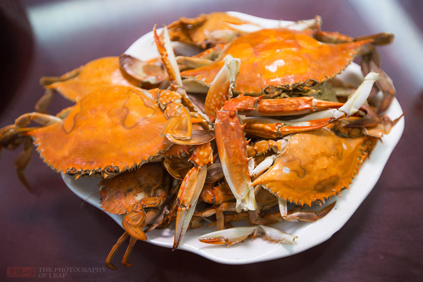 在浙江象山一条野生大黄鱼3000多块,为什么这么贵?吃完才明白