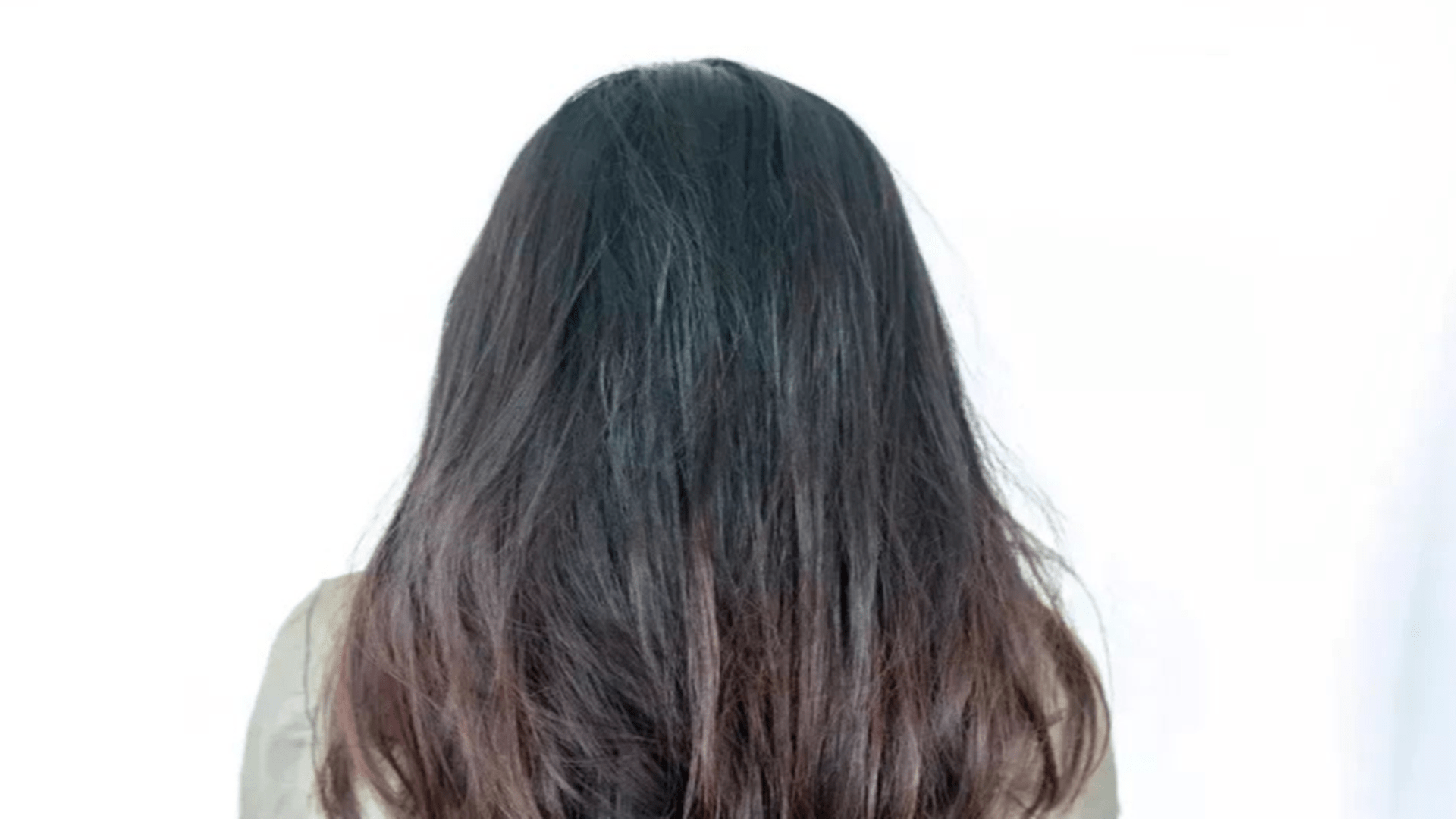 头发|每天掉超过100根头发是脱发？脱发5大元凶，少碰为妙