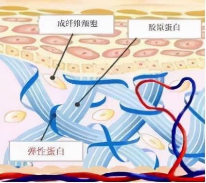 集锦水媚蛙：面膜知识集锦，作为女人你一定要知道