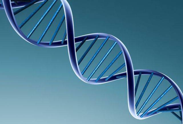 水平|糖尿病也能治好吗?医生:逆转“大法”已现世,并没现象中那么可怕