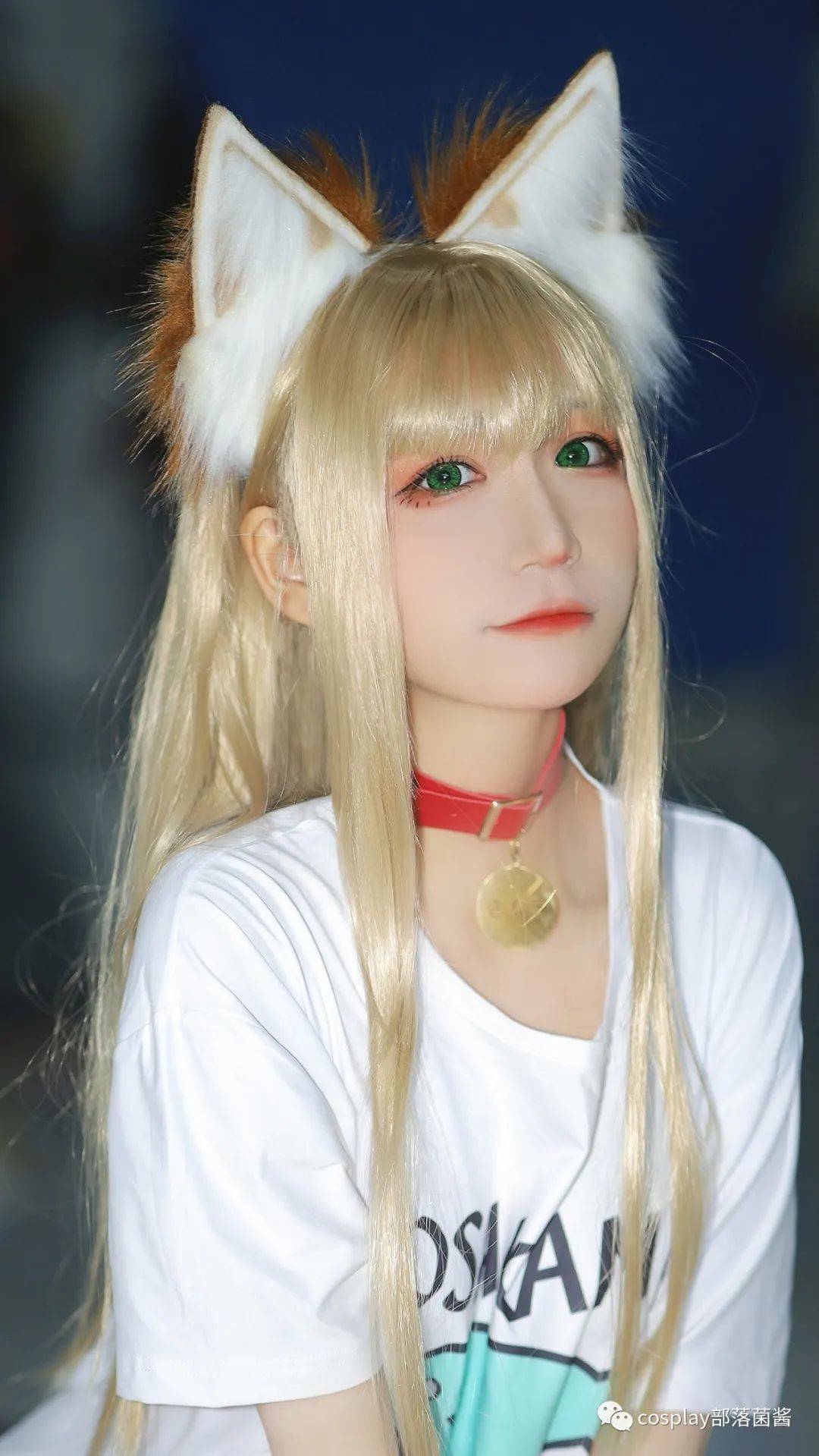 cos:40原黄豆粉猫娘场照@赤瞳-搜狐大视野-搜狐新闻