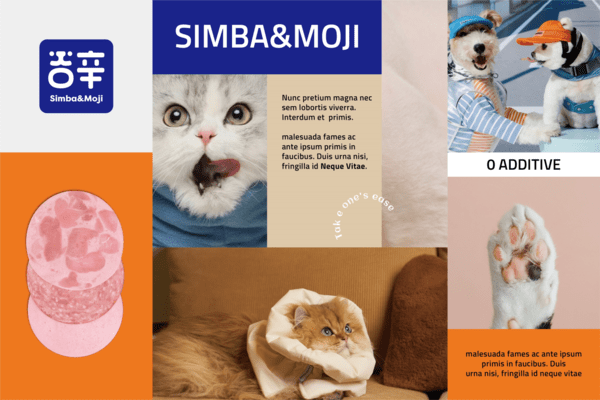 品牌|吉辛7周年发布全新VI，品牌升级全面启动