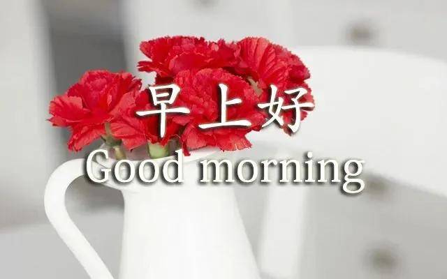 原创周二最新版的早上好问候语动图早上好表情图动态