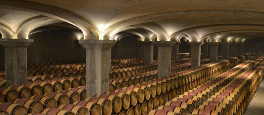 酿造|玛歌白亭干白葡萄酒2016!