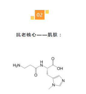 机制祛颈纹、黑眼圈、泪沟，嗨体“三剑客”为何如此神奇？