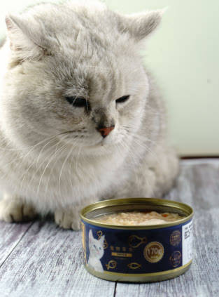 瑞萌|猫咪最爱吃的零食推荐，猫罐头猫条猫零食排行榜