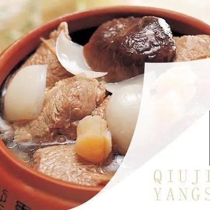 农小淘|秋风劲 | 菌菇养生正当时