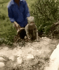 搞笑GIF：友情提示：不要穿裙子騎車 搞笑整蠱 第23张