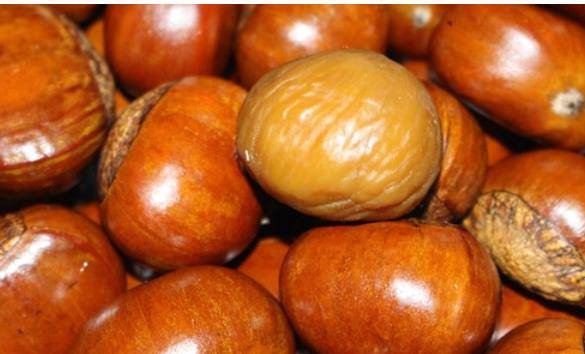 因为|脂肪热量太高,宁可饿一天,也不要吃的6种食物,大多人都喜欢吃