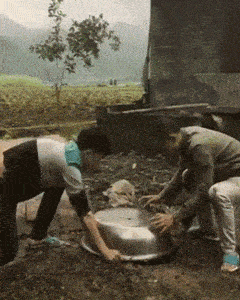 搞笑GIF：不怕學校沙雕多，就怕沙雕們住一窩 搞笑整蠱 第5张