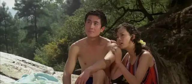 海市蜃楼|80年代十大“现象”佳片,《少林寺》1.6亿,《红高粱》获奖无数2