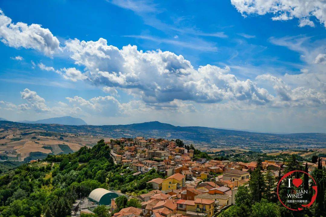 葡萄|菲亚诺 Fiano | 意大利南部的“高贵”白品种