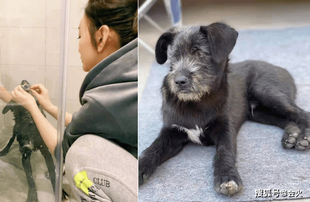 流浪狗李小冉与牛莉同框热舞！穿超短裤秀白净长腿，表情兴奋姿势婀娜