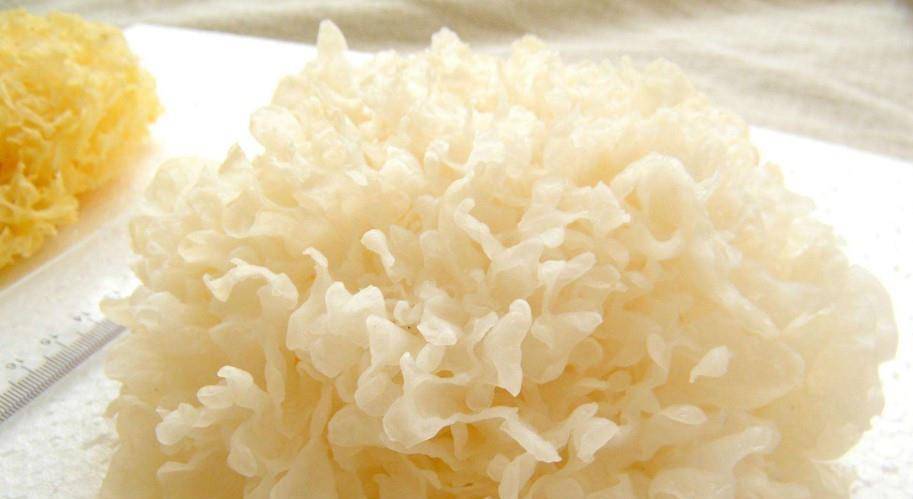 银耳怎么泡发最好最快 2826cd6cd01148f487c8fbaa01f4630e.jpeg