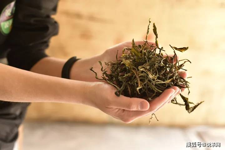 高原仓|普洱茶存放几年最好喝？