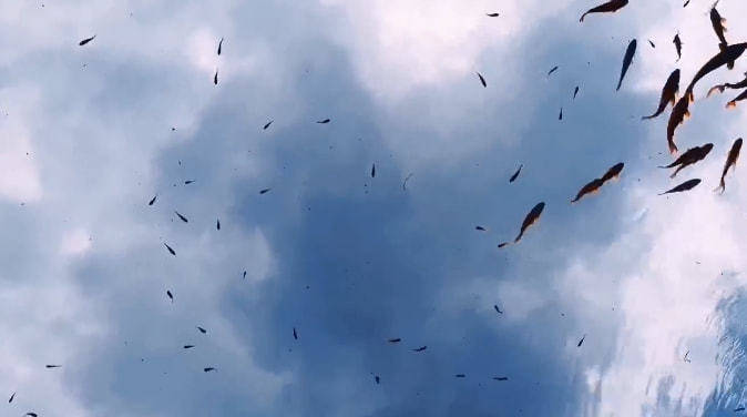 时空|十一打卡腾冲 | 蒲川老屋已建成，正在为你打开时空穿越之门~