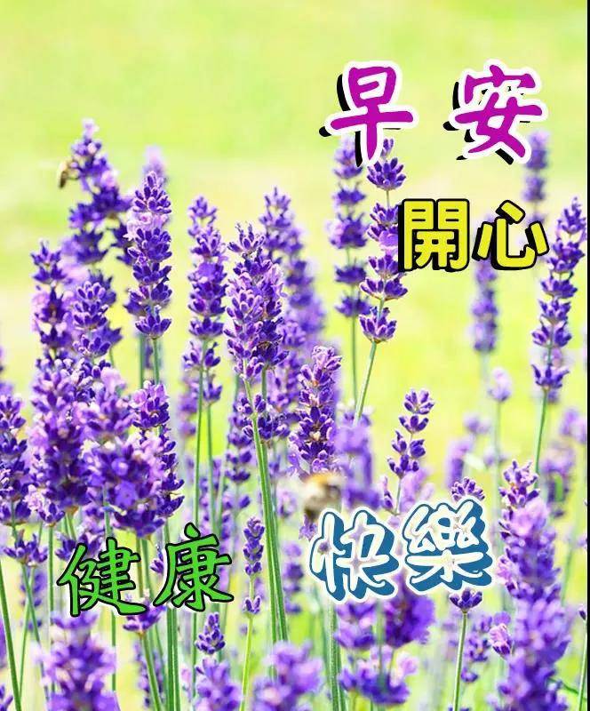 原创9张创意唯美的友情早上好免打字图片带祝福语秋日大家早上好问候