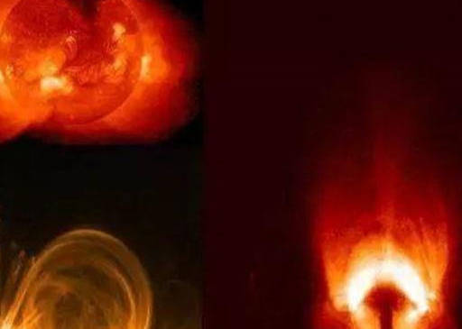 物质|把两瓣葡萄放入微波炉里，为什么会爆炸？科学家也很难解释