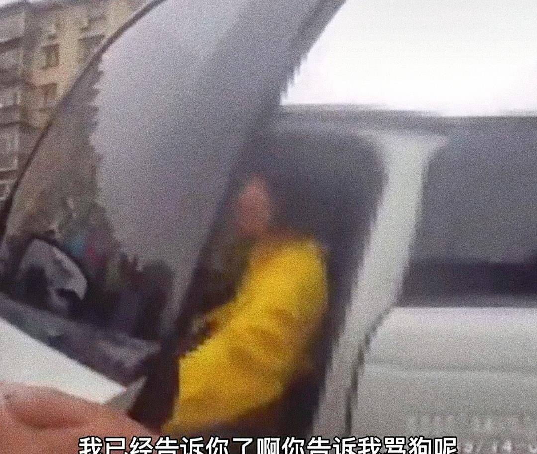 家长|北京一女子驾驶路虎堵幼儿园门口，还公然辱骂，结果令人舒适