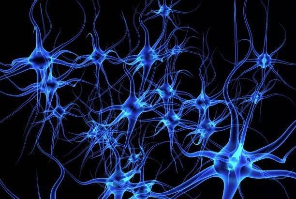 治疗|运动神经元患者康复案例2