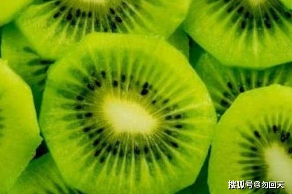 5ba5847419114f2c9db18fcdeae8b7ce.jpeg
