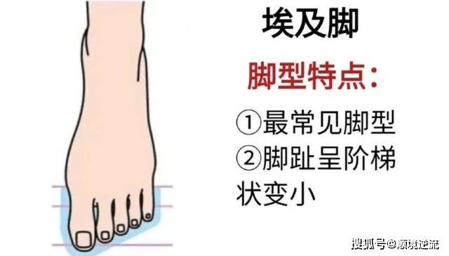 圆头 你是什么“脚”，就穿什么鞋！选对鞋子，穿搭才能优雅显高级