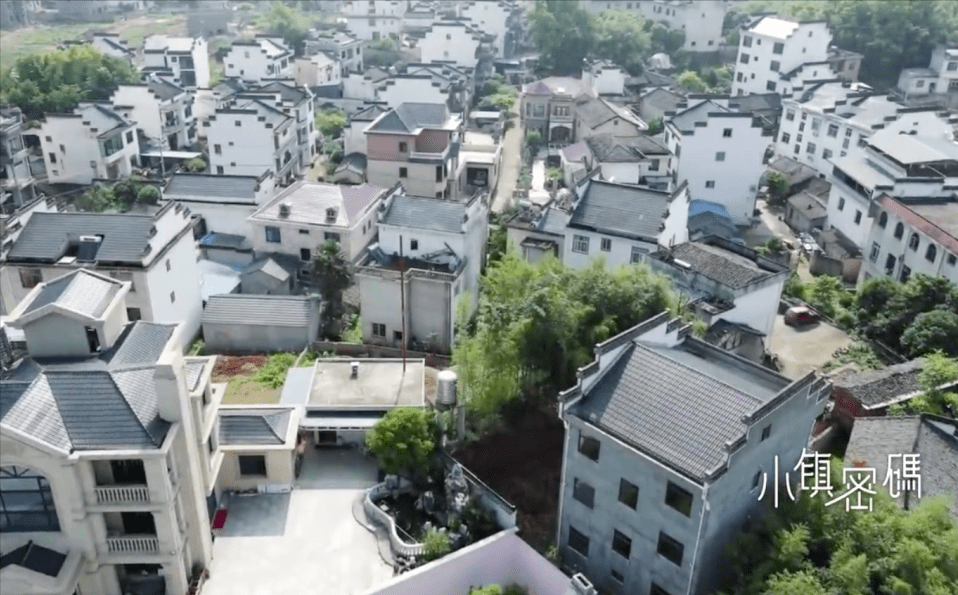 安徽欧元村家家盖独栋别墅上千人在欧洲干事业